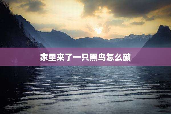 家里来了一只黑鸟怎么破