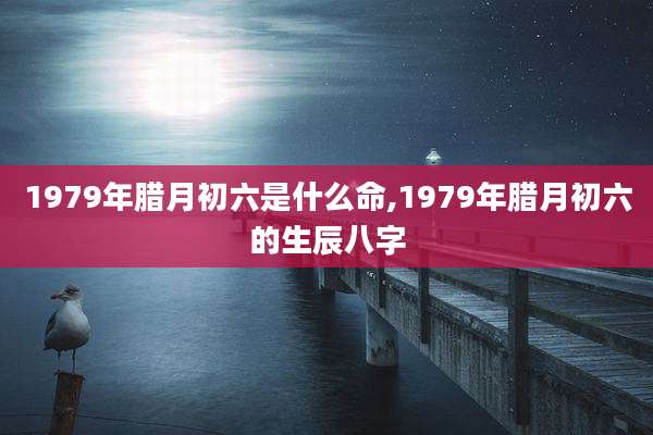 1979年腊月初六是什么命,1979年腊月初六的生辰八字