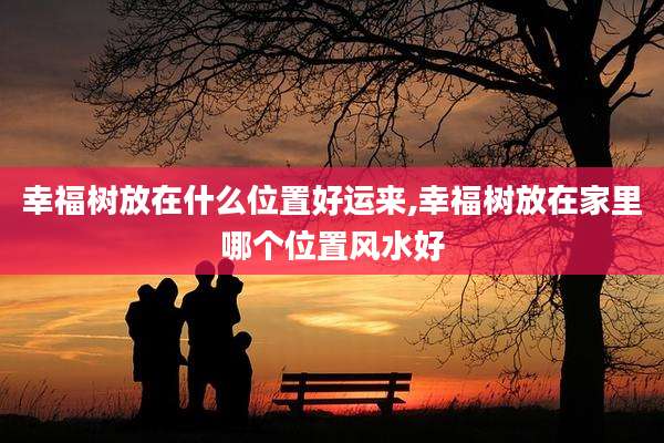幸福树放在什么位置好运来,幸福树放在家里哪个位置风水好