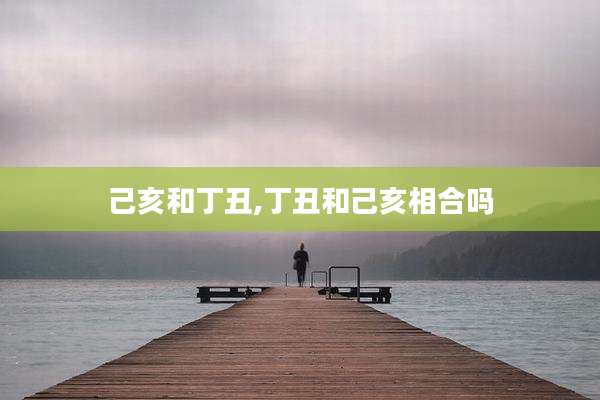 己亥和丁丑,丁丑和己亥相合吗