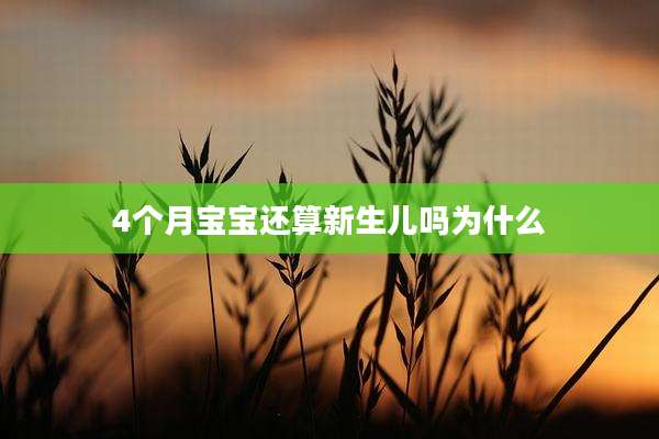 4个月宝宝还算新生儿吗为什么