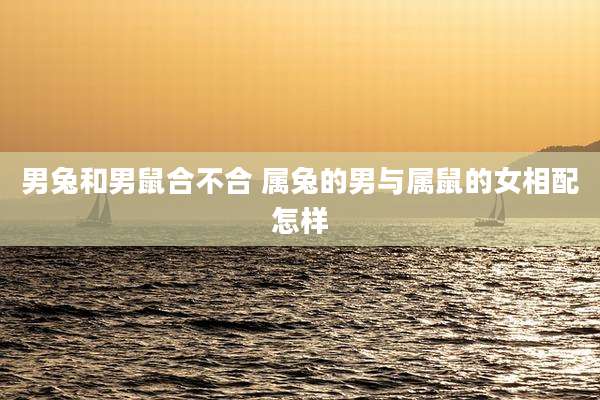 男兔和男鼠合不合 属兔的男与属鼠的女相配怎样