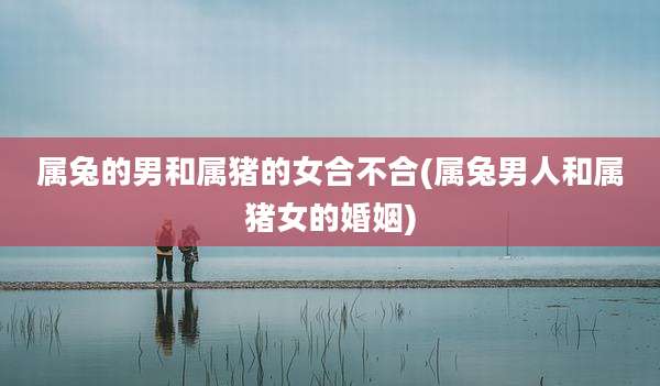 属兔的男和属猪的女合不合(属兔男人和属猪女的婚姻)