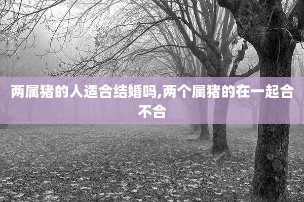两属猪的人适合结婚吗,两个属猪的在一起合不合
