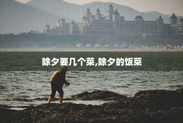 除夕要几个菜,除夕的饭菜