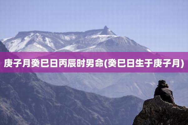 庚子月癸巳日丙辰时男命(癸巳日生于庚子月)