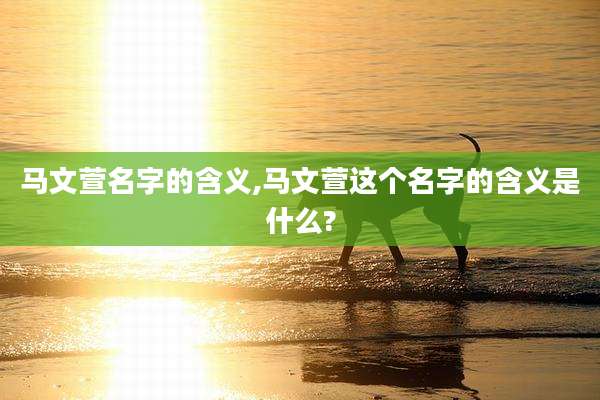 马文萱名字的含义,马文萱这个名字的含义是什么?