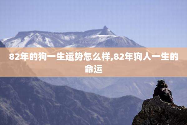 82年的狗一生运势怎么样,82年狗人一生的命运