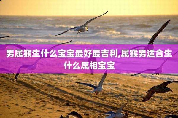 男属猴生什么宝宝最好最吉利,属猴男适合生什么属相宝宝