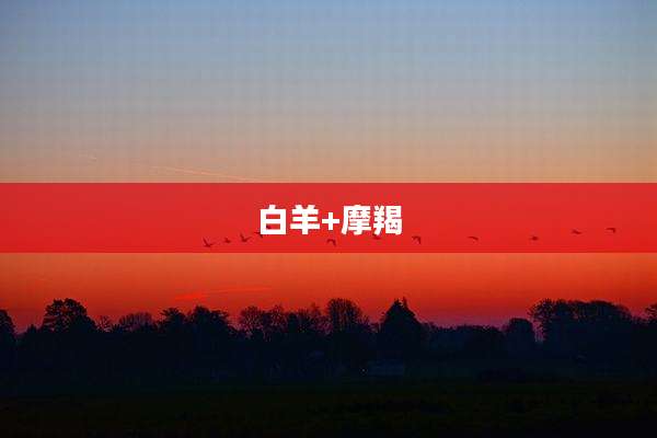 白羊+摩羯