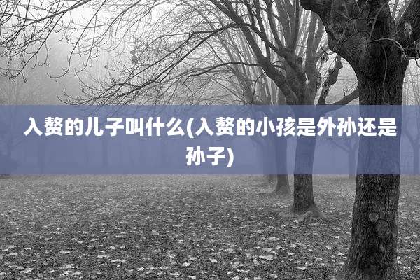 入赘的儿子叫什么(入赘的小孩是外孙还是孙子)