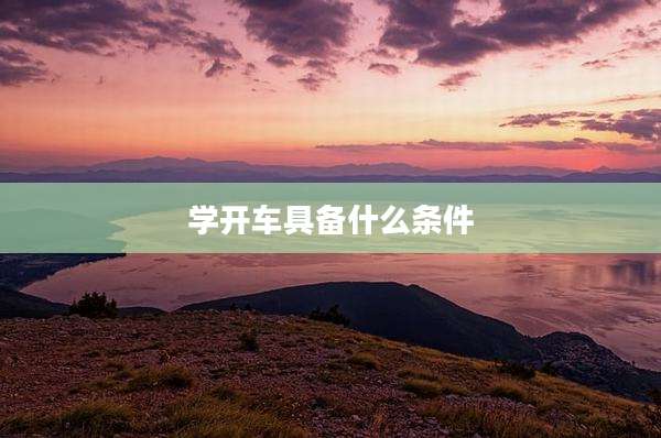 学开车具备什么条件
