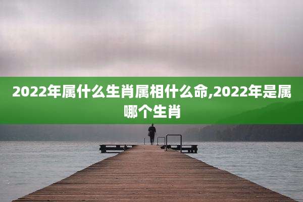 2022年属什么生肖属相什么命,2022年是属哪个生肖
