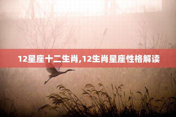 12星座十二生肖,12生肖星座性格解读