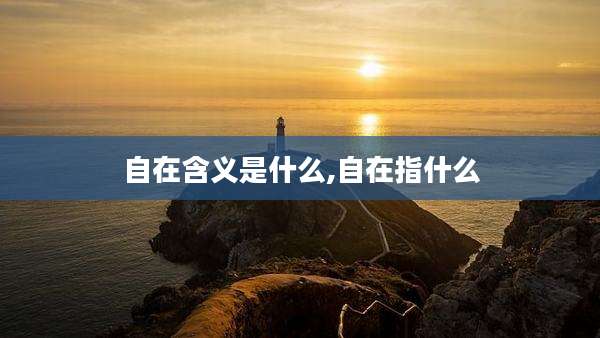 自在含义是什么,自在指什么