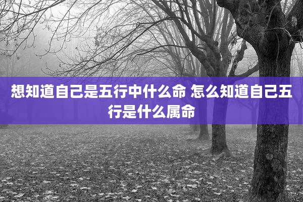 想知道自己是五行中什么命 怎么知道自己五行是什么属命