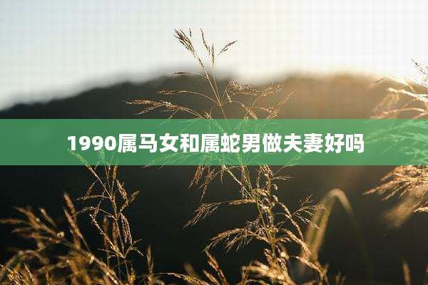 1990属马女和属蛇男做夫妻好吗