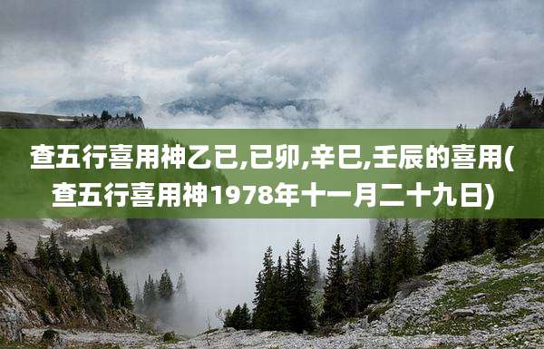 查五行喜用神乙已,已卯,辛巳,壬辰的喜用(查五行喜用神1978年十一月二十九日)