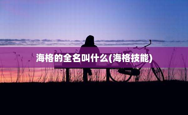 海格的全名叫什么(海格技能)