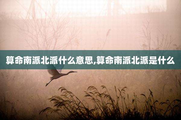 算命南派北派什么意思,算命南派北派是什么