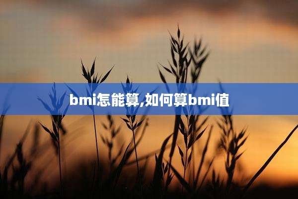 bmi怎能算,如何算bmi值