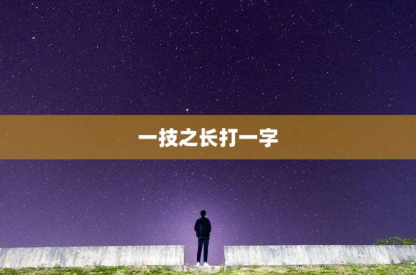 一技之长打一字