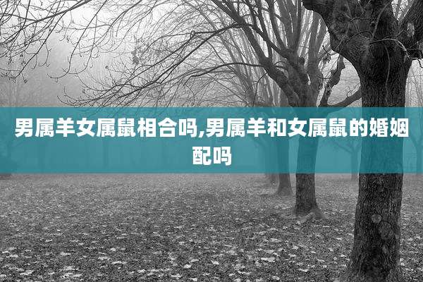男属羊女属鼠相合吗,男属羊和女属鼠的婚姻配吗