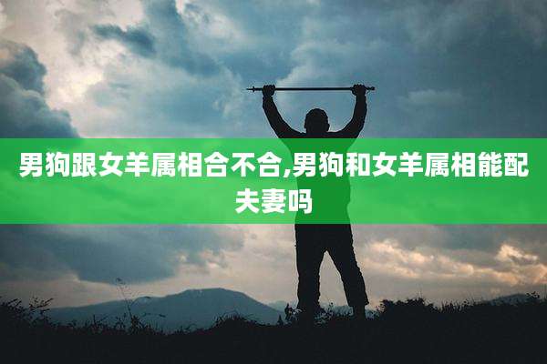 男狗跟女羊属相合不合,男狗和女羊属相能配夫妻吗