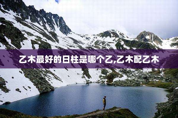 乙木最好的日柱是哪个乙,乙木配乙木