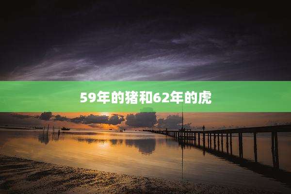 59年的猪和62年的虎