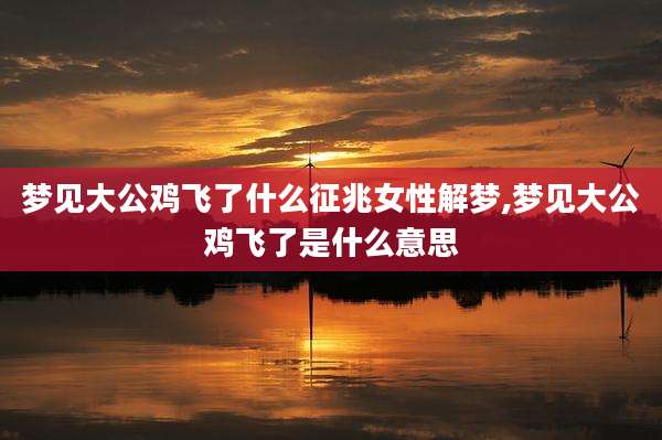 梦见大公鸡飞了什么征兆女性解梦,梦见大公鸡飞了是什么意思