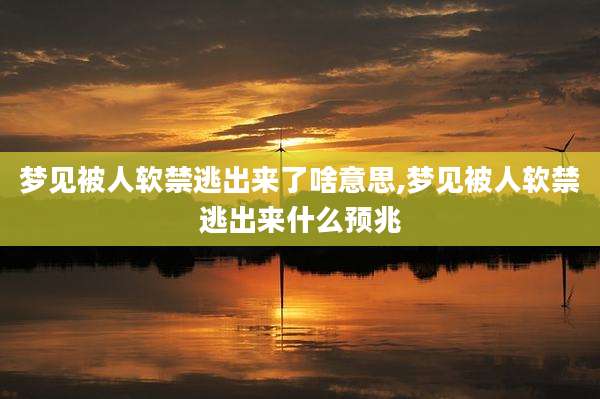 梦见被人软禁逃出来了啥意思,梦见被人软禁逃出来什么预兆