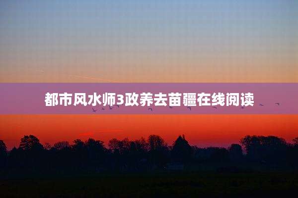 都市风水师3政养去苗疆在线阅读