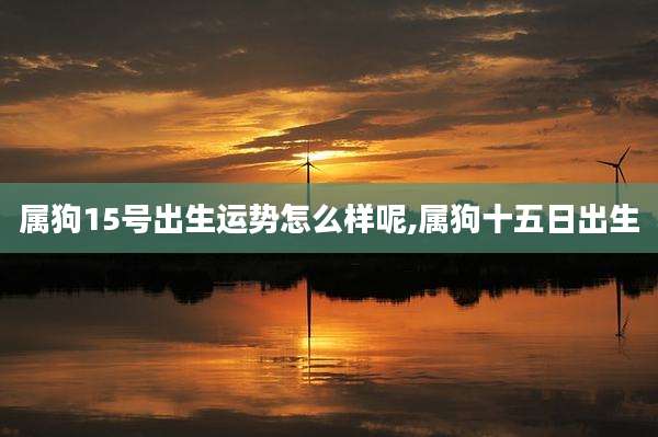 属狗15号出生运势怎么样呢,属狗十五日出生