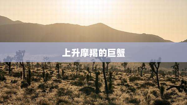 上升摩羯的巨蟹