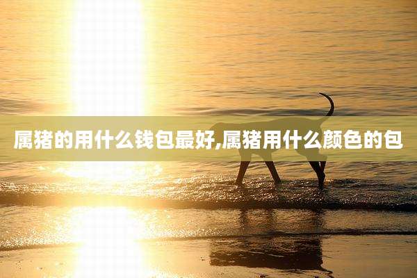 属猪的用什么钱包最好,属猪用什么颜色的包
