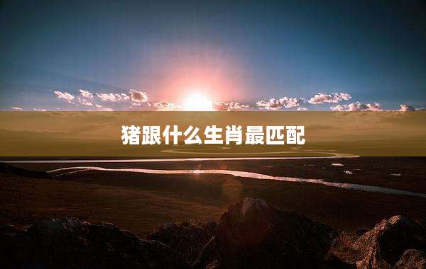 猪跟什么生肖最匹配