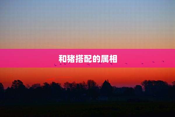 和猪搭配的属相