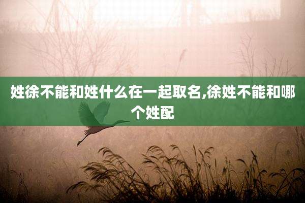 姓徐不能和姓什么在一起取名,徐姓不能和哪个姓配