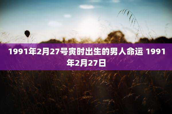 1991年2月27号寅时出生的男人命运 1991年2月27日