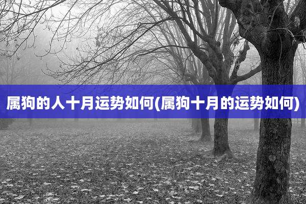 属狗的人十月运势如何(属狗十月的运势如何)