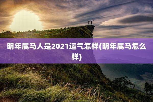 明年属马人是2021运气怎样(明年属马怎么样)