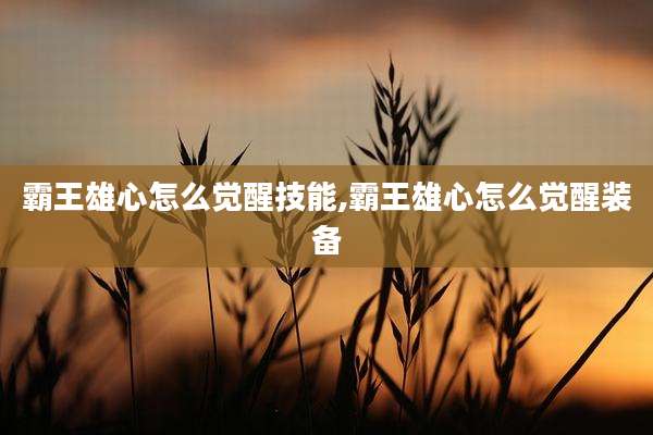 霸王雄心怎么觉醒技能,霸王雄心怎么觉醒装备