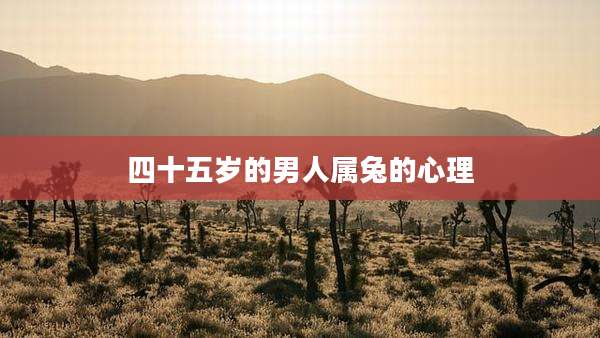 四十五岁的男人属兔的心理