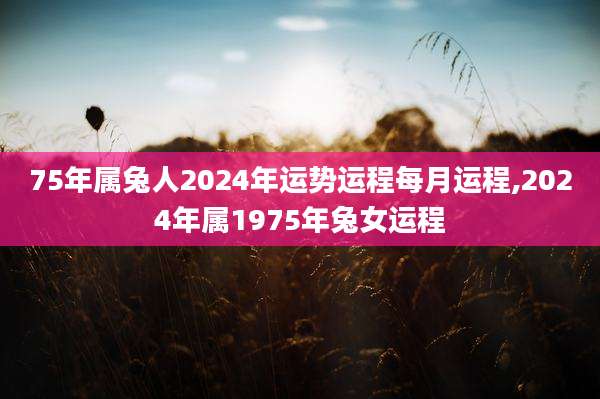 75年属兔人2024年运势运程每月运程,2024年属1975年兔女运程