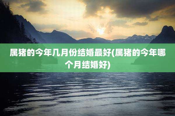 属猪的今年几月份结婚最好(属猪的今年哪个月结婚好)