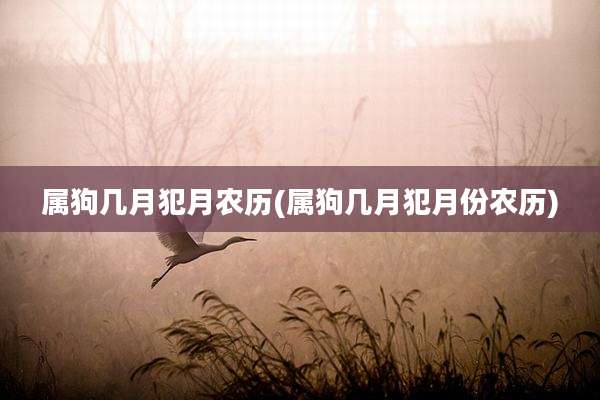 属狗几月犯月农历(属狗几月犯月份农历)