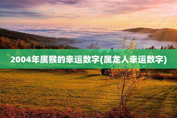 2004年属猴的幸运数字(属龙人幸运数字)