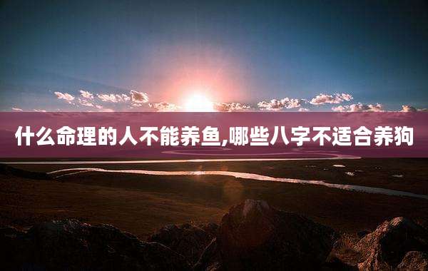 什么命理的人不能养鱼,哪些八字不适合养狗