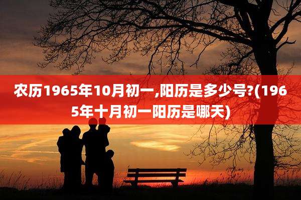 农历1965年10月初一,阳历是多少号?(1965年十月初一阳历是哪天)